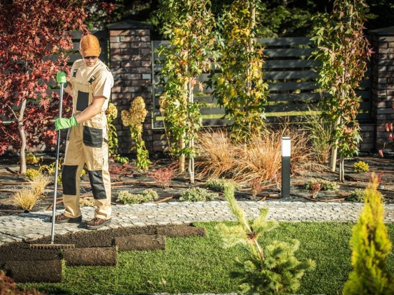 PROFESSIONAL LANDSCAPING SERVICES IN SAN DIEGO